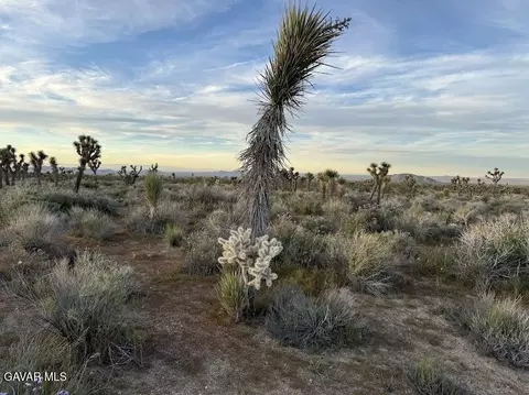 220 E Avenue X, Llano, CA 93544 photo 48