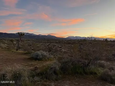 220 E Avenue X, Llano, CA 93544 photo 12