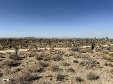 220 E Avenue X, Llano, CA 93544 photo 70