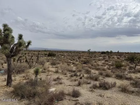 220 E Avenue X, Llano, CA 93544 photo 10