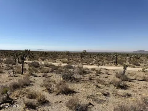 220 E Avenue X, Llano, CA 93544 photo 69