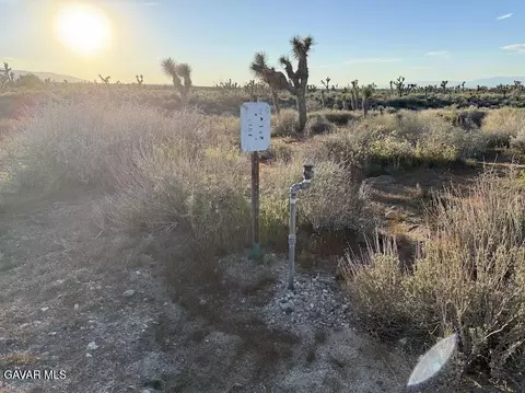 220 E Avenue X, Llano, CA 93544 photo 3
