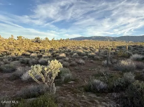 220 E Avenue X, Llano, CA 93544 photo 43