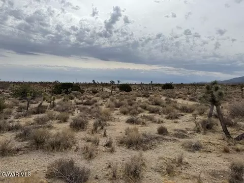 220 E Avenue X, Llano, CA 93544 photo 11