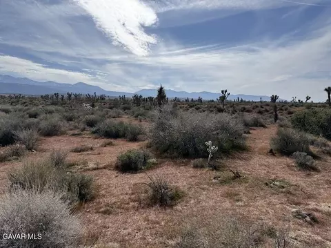 220 E Avenue X, Llano, CA 93544 photo 54
