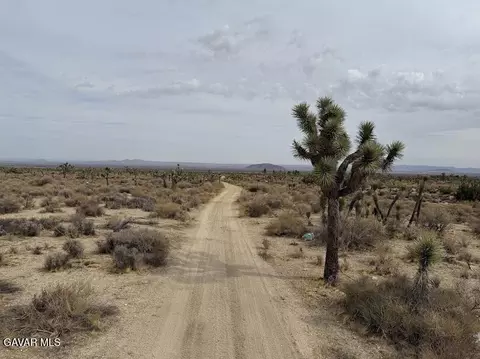 220 E Avenue X, Llano, CA 93544 photo 9