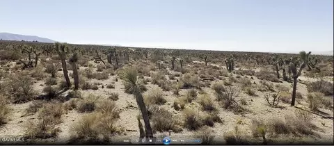 220 E Avenue X, Llano, CA 93544 photo 34