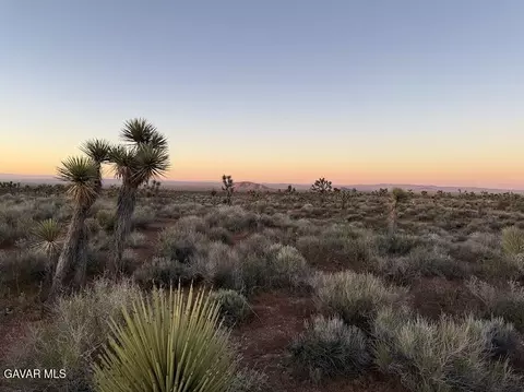 220 E Avenue X, Llano, CA 93544 photo 56