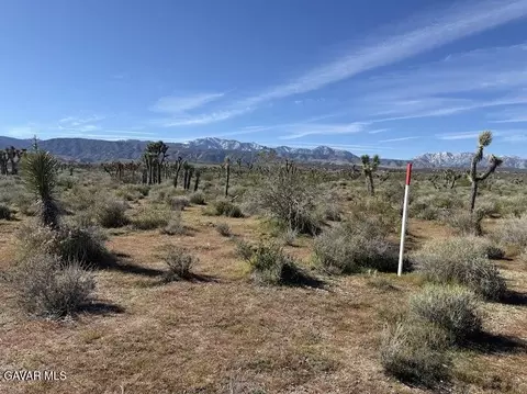 220 E Avenue X, Llano, CA 93544 photo 53