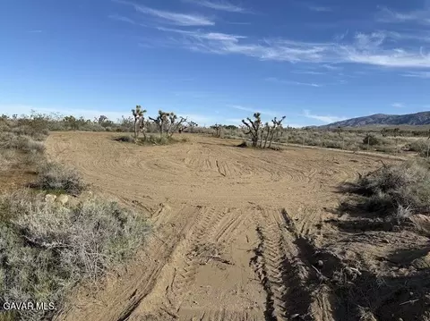 220 E Avenue X, Llano, CA 93544 photo 24