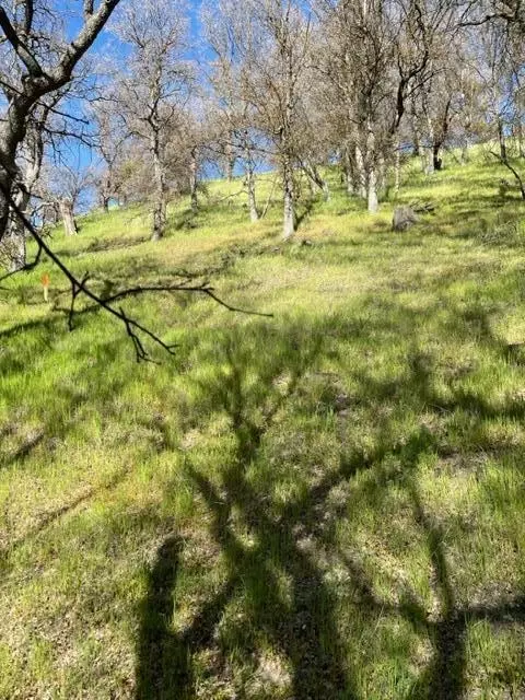 22948 Rim Way, Tehachapi, CA 93561 photo 14