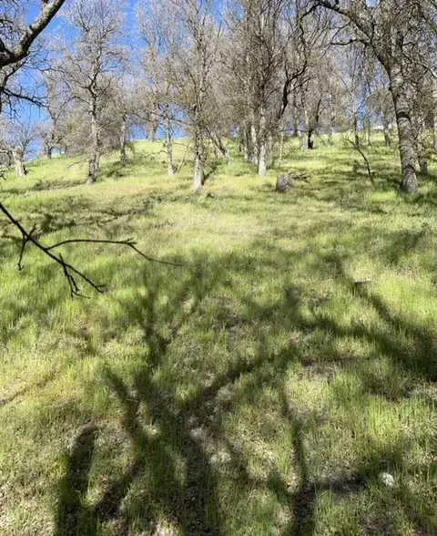 22948 Rim Way, Tehachapi, CA 93561 photo 15