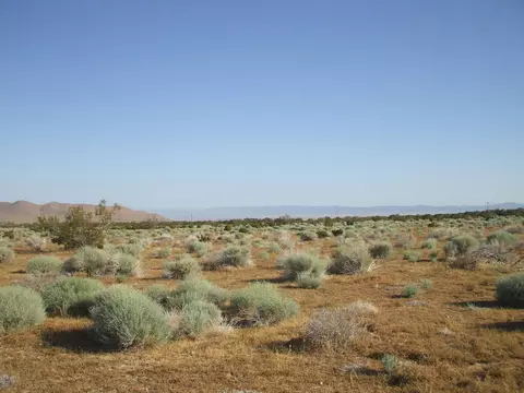 000 N Vim, Rosamond, CA 93560 photo 10