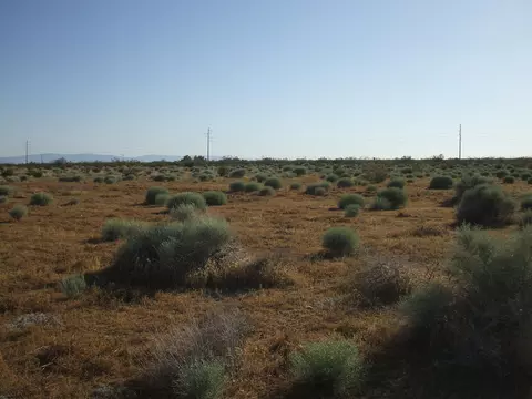 000 N Vim, Rosamond, CA 93560 photo 11