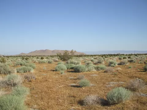 000 N Vim, Rosamond, CA 93560 photo 5