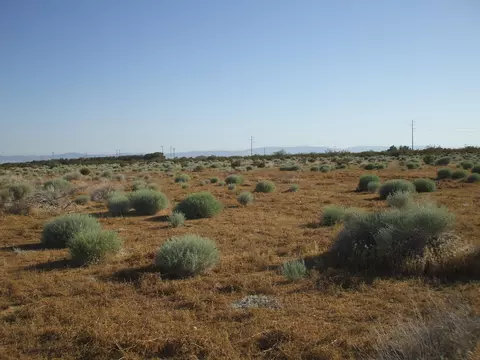 000 N Vim, Rosamond, CA 93560 photo 15