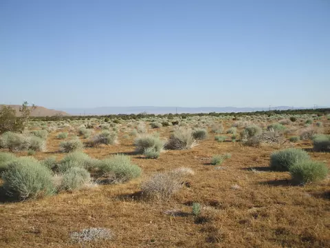 000 N Vim, Rosamond, CA 93560 photo 16