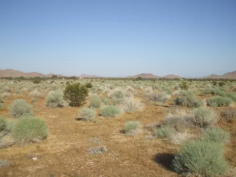 000 N Vim, Rosamond, CA 93560 photo 3