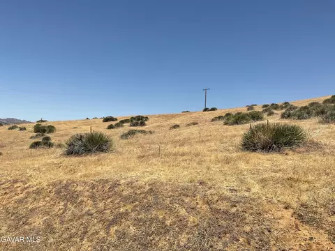 Oak View Lane, Caliente, CA 93518 photo 5