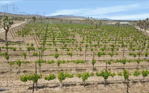 0 Ft Tejon Vic 82nd Ste Rd, Palmdale, CA 93550
