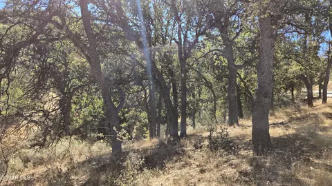 Saint Moritz Drive, Tehachapi, CA 93561 photo 16
