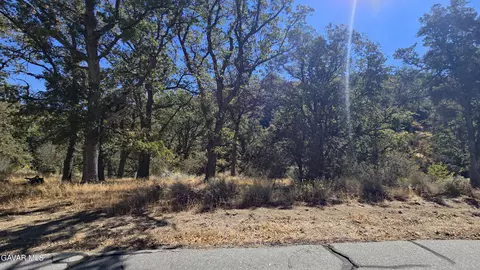 Saint Moritz Drive, Tehachapi, CA 93561 photo 13