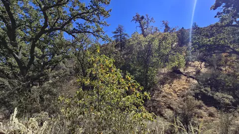 Saint Moritz Drive, Tehachapi, CA 93561 photo 24