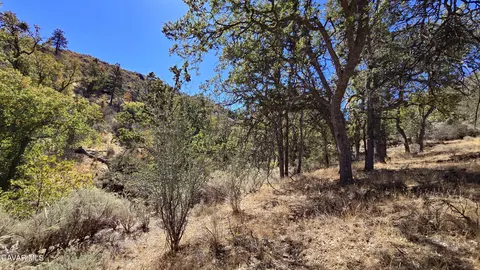 Saint Moritz Drive, Tehachapi, CA 93561 photo 21