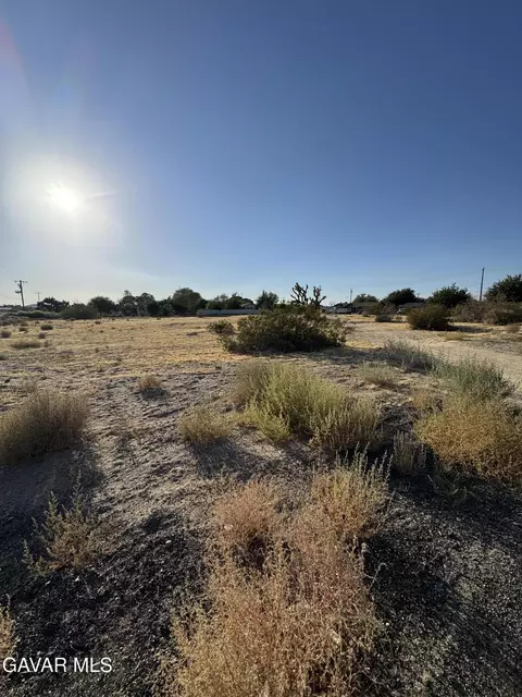 Ave O E, Lancaster, CA 93536 photo 3