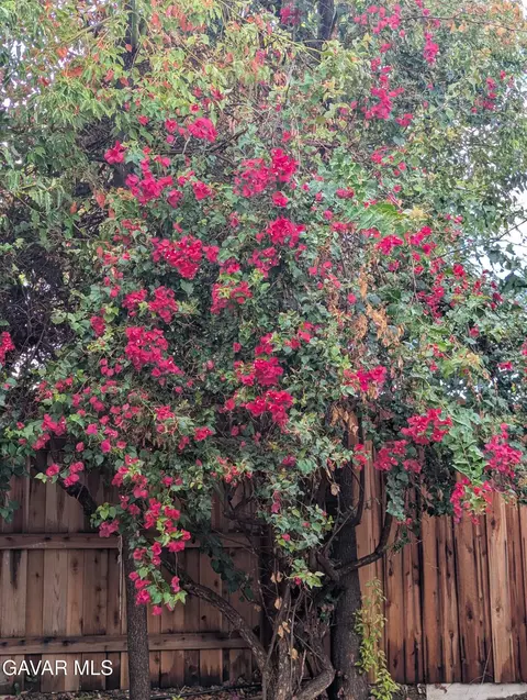Exterior - 8615 Barton St, Riverside, CA 92508 photo 5 of 7