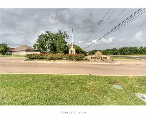 2009 Mountain Wind Loop, Bryan, TX 77807 photo 17