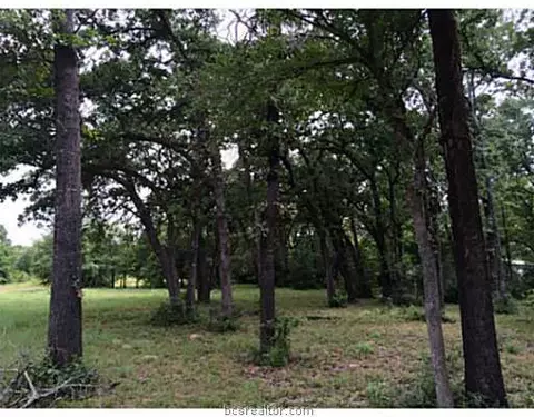 10585 This Way, Bryan, TX 77807 photo 7