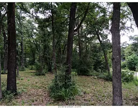 10585 This Way, Bryan, TX 77807 photo 8