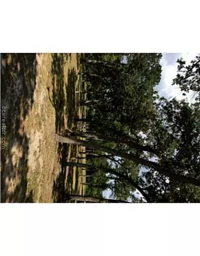 9185 Five Points Rd, Bryan, TX 77808 photo 18