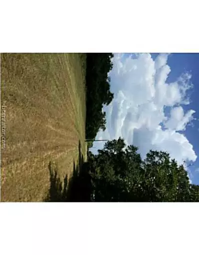 9185 Five Points Rd, Bryan, TX 77808 photo 6
