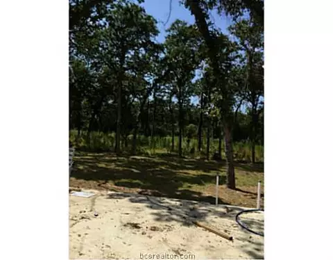 9185 Five Points Rd, Bryan, TX 77808 photo 19
