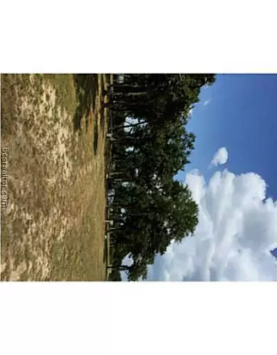 9185 Five Points Rd, Bryan, TX 77808 photo 12