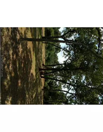 9185 Five Points Rd, Bryan, TX 77808 photo 25