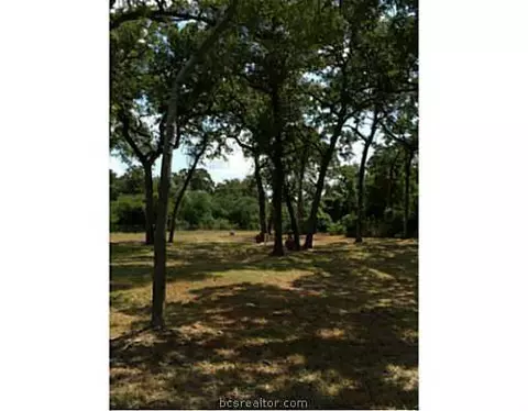 9185 Five Points Rd, Bryan, TX 77808 photo 25
