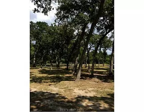 9185 Five Points Rd, Bryan, TX 77808 photo 18