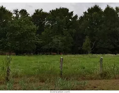 8875 Dick Elliott Dr, Bryan, TX 77808 photo 17