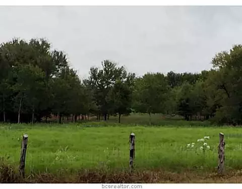 8875 Dick Elliott Dr, Bryan, TX 77808 photo 10