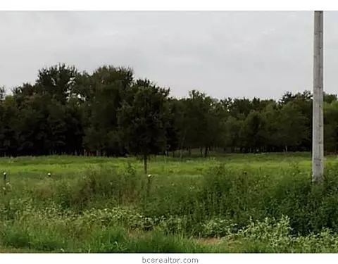 8875 Dick Elliott Dr, Bryan, TX 77808 photo 9