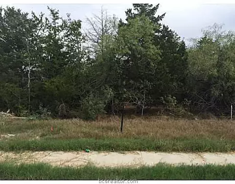3329 Covington Ct, Bryan, TX 77808 photo 6