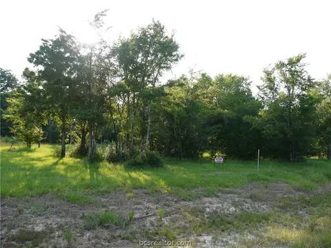 6467 Olivia Trl, Bryan, TX 77808 photo 9