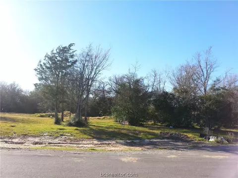6467 Olivia Trl, Bryan, TX 77808 photo 5