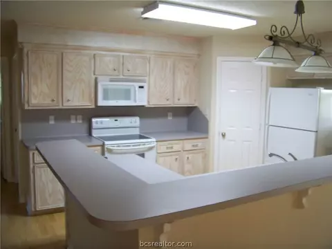 4432 Leonard Rd, Bryan, TX 77807 photo 3
