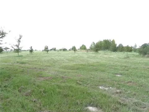 8743 Grassbur Rd, Bryan, TX 77808 photo 3