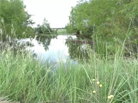 8743 Grassbur Rd, Bryan, TX 77808 photo 9