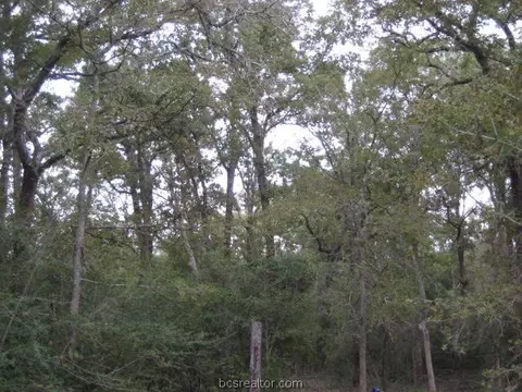 9179 Hensarling Ln, Bryan, TX 77808 photo 19